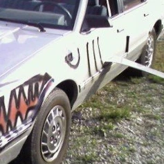 Shark Car
